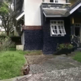 Villa Kota Bunga Disewakan Harian - Titip Jual